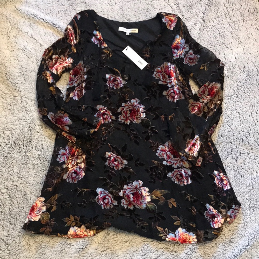 NWT Cupcakes and Cashmere Valda Velvet Dress - Picture 4 of 5